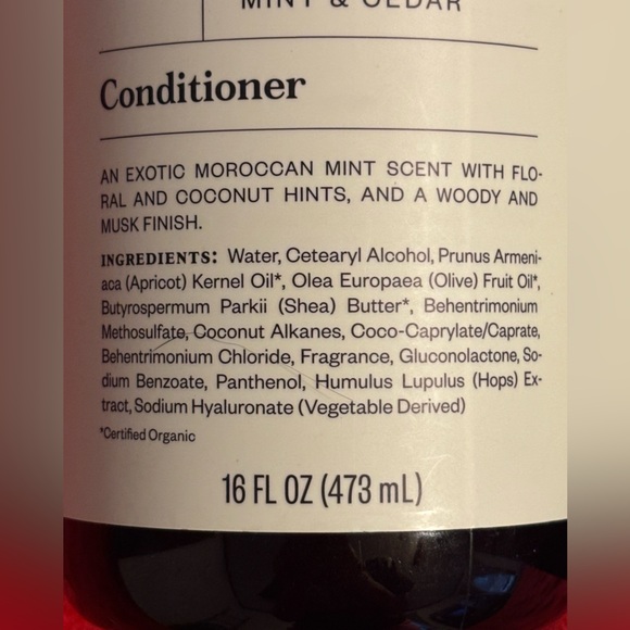 Goodfellow & Co No. 03 Moroccan Mint & Cedar Hair Care Duo - Picture 6 of 7